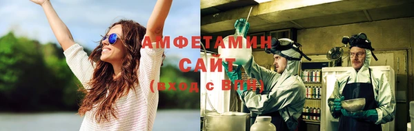 индика Переславль-Залесский