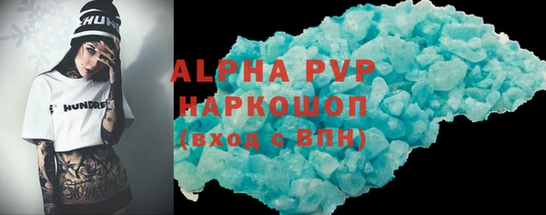 индика Переславль-Залесский