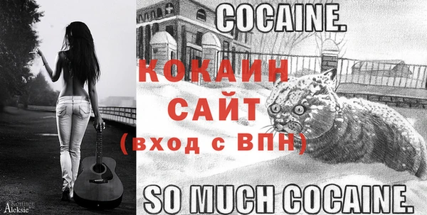 ECSTASY Пересвет