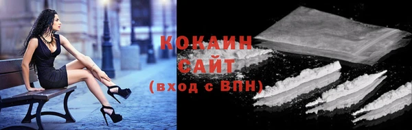 ECSTASY Пересвет