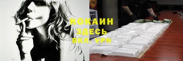 индика Переславль-Залесский