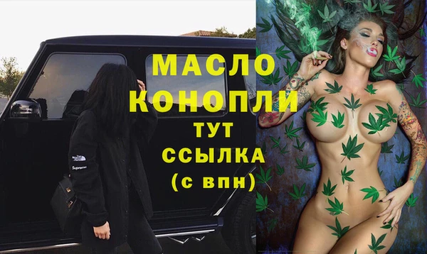 индика Переславль-Залесский