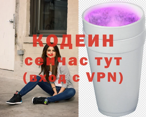 ECSTASY Пересвет