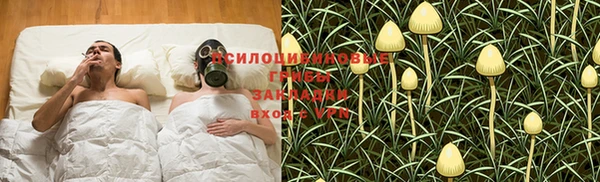 индика Переславль-Залесский