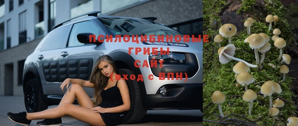 a pvp Пестово