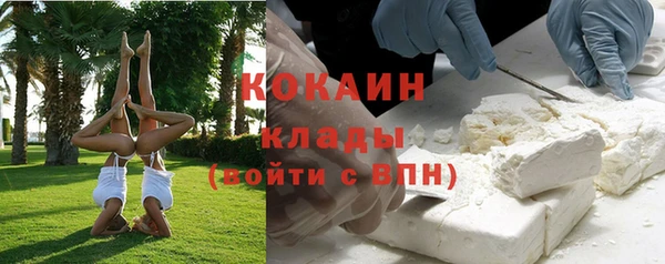 ECSTASY Пересвет