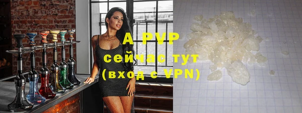 индика Переславль-Залесский
