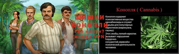 ECSTASY Пересвет